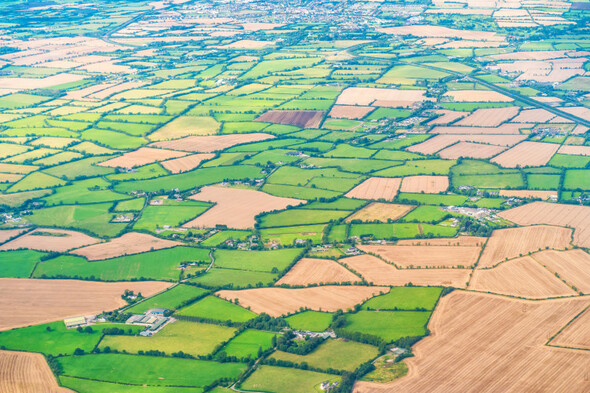 Price of farmland increased by 11% in last year, SCSI says - Vimarsana News