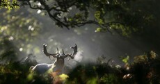 The Week in Photos: Mother Nature