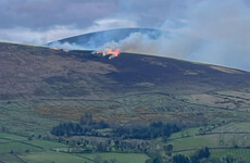 Wildfires 'ran riot' across more than 500 acres of the Blackstairs Mountains yesterday