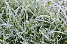 Temperatures set to drop to -1 during frosty weekend