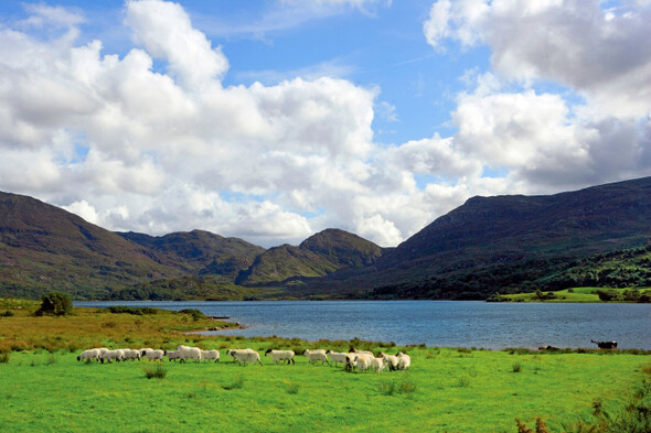 Quiz: How well do you know Ireland's national parks? - Vimarsana News