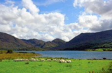 Quiz: How well do you know Ireland's national parks?