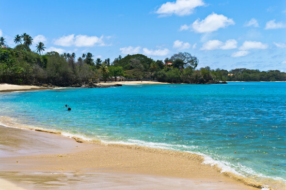 British tourist in intensive care after shark attack ten metres from shore on Caribbean Island - Vimarsana News