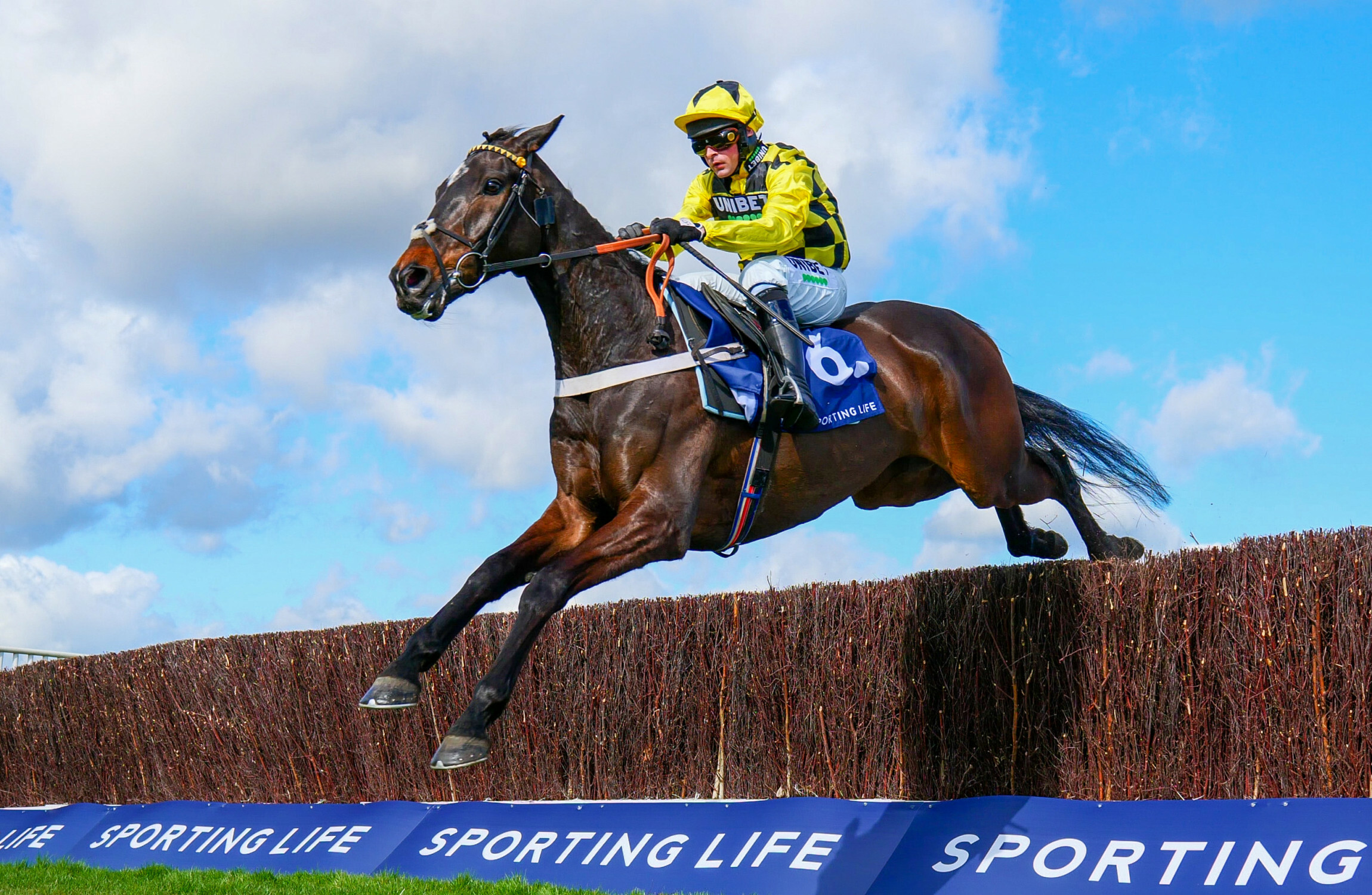 Racing saddened by death of Shishkin - Vimarsana News