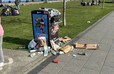 Trashing the place: 'The actual state of litter in Ireland'