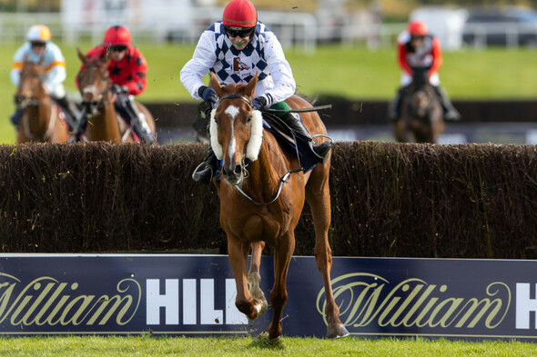 Banbridge wins Champion Chase thriller, Spillane's Tower digs deep to complete Grade One double - Vimarsana News