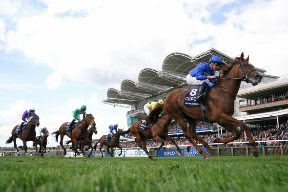 Notable Speech wins 2000 Guineas as City of Troy fails to land a blow - Vimarsana News
