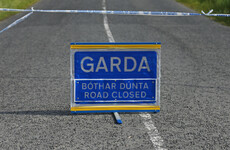 Driver arrested after teenage girl dies in single-vehicle crash in Co Wicklow