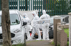 ‘It adds more fear’: Councillors react to 'worrying' reports an AR-15 was used in Drimnagh murder