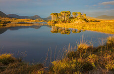 Opinion: If we turn Connemara into a large national park, it could be our Yellowstone