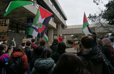 UCD students set up pro-Palestine encampment on campus following Trinity success