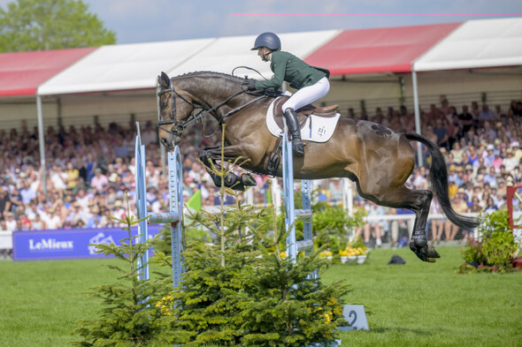 Irish amateur stuns showjumping world with runner-up finish at prestigious Badminton event