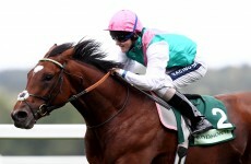 Frankel's farewell: Legendary horse set to go out on winning note