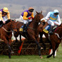 'Hail the King': Meade pays tribute to Harchibald following superstar hurdler’s death, aged 25