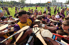 Lee Chin leads the scoring in Wexford's demolition of Carlow