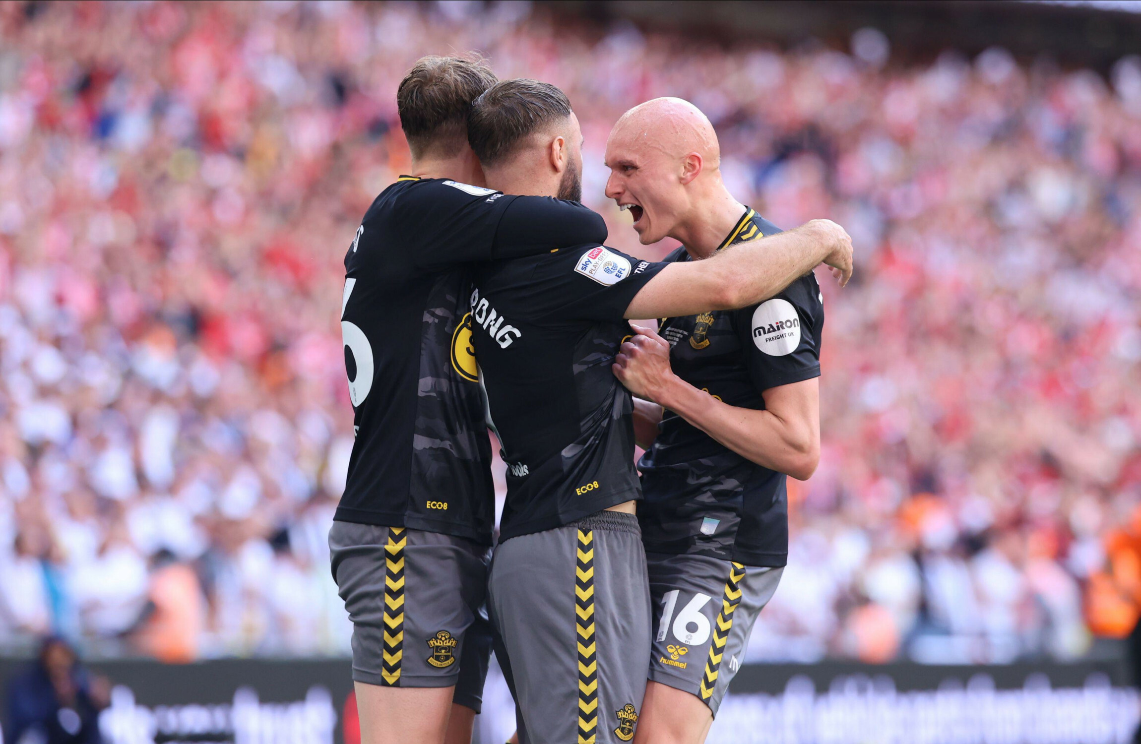 Joy for Irish trio as Southampton return to Premier League after beating Leeds - Vimarsana News