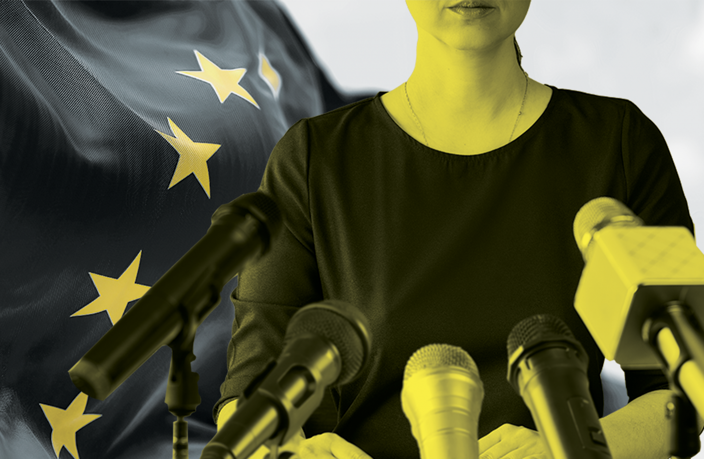 Checking Privilege: How the European Parliament fails to reflect the diversity of the EU - Vimarsana News