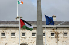 Man who allegedly tried to remove Palestinian flag from Leinster House granted bail