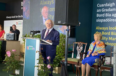 Fixing delays with childen's spinal surgeries 'not rocket science', President Higgins says