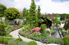 Quiz: How much do you know about June flowering plants?
