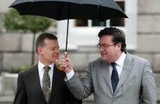 Referendum on Seanad 'unlikely', says Greens' Boyle