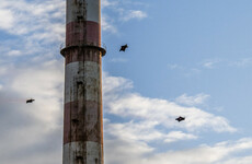 ESB says permission was not granted for ‘dangerous’ Red Bull skydive at Poolbeg Chimneys