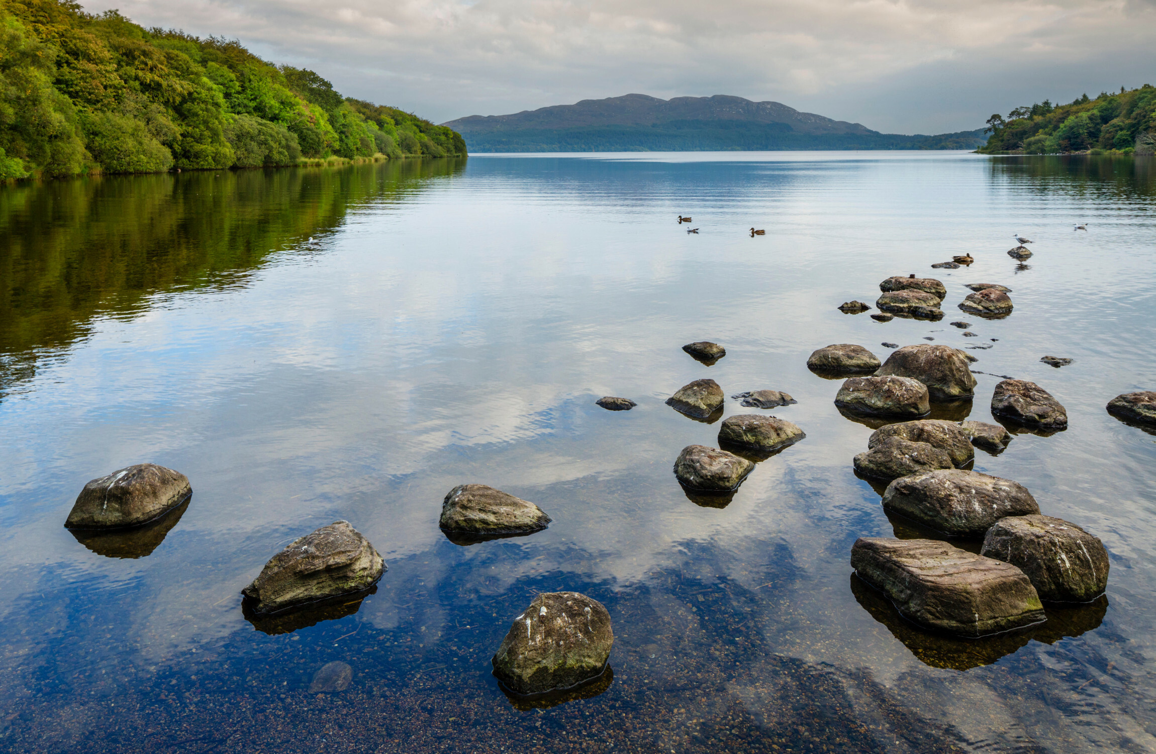 No signs of improvement in quality of Irish lakes, estuaries and groundwaters - Vimarsana News
