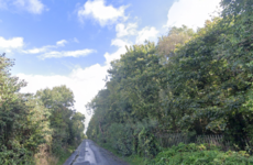 Garda probe as rifle discovered in undergrowth in North Dublin suburb