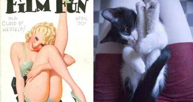 Tumblr of the Day: Cats That Look Like Pinup Girls