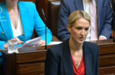 McEntee says Aer Lingus pilots going on strike could cause damage to Ireland's reputation