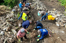 How a festival in Donegal is bringing back the ancient craft of wall building