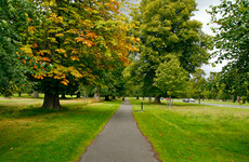 Teen arrested and due in court over alleged homophobic attack in Phoenix Park