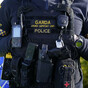 Gardaí investigate as 'unrestrained' dog attacks dog being walked in Limerick city