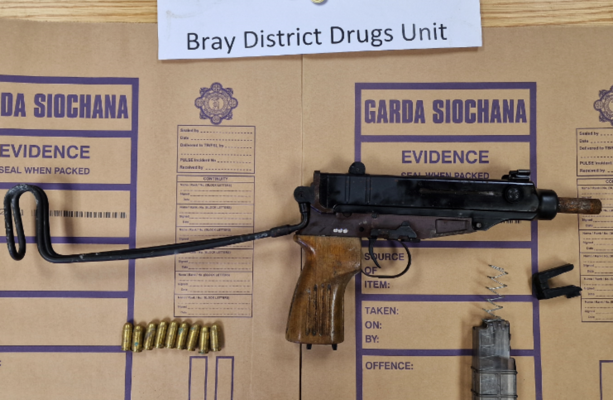ブレイの家の捜索中に銃と弾薬が押収される · TheJournal.ie