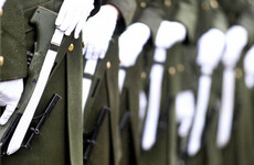 Tánaiste: 68 Defence Forces members convicted or currently charged with criminal offences