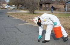 Scientists still puzzled by thousands of dead birds and fish in Arkansas