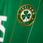 FAI says 'series of historical abuse allegations' from 1990s have been made by female players
