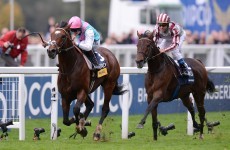 Simply the best: Frankel retires unbeaten after Champion Stakes win