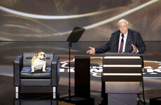 The Journal Friday Newshound Quiz