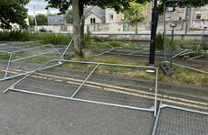 Protestors who tore down Grand Canal fencing call for ‘end to hostile architecture’