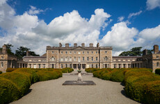 Carton House operator appeals conviction for damaging protected habitat to remove wasps' nest