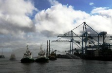 Irish exports see record results for 2010