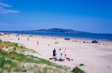Lifeguards at Dollymount say they have been 'pared back to the bare minimum'