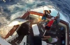 Off the record: 5 stories you may have missed this weekend