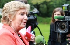 Oireachtas committee cancels 'Yes' photocall over potential legal breach