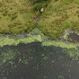 Bacteria from livestock waste and human effluent discovered in Lough Neagh, study finds