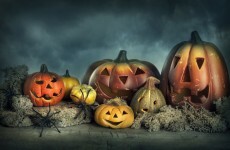 Forget about the kids, where can adults go to get scared this Halloween?