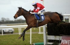 Psycho on the prowl in Thurles