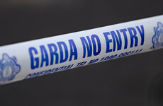 Man (60s) dies after being attacked by bull on Limerick farm