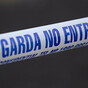 Man (60s) dies after being attacked by bull on Limerick farm